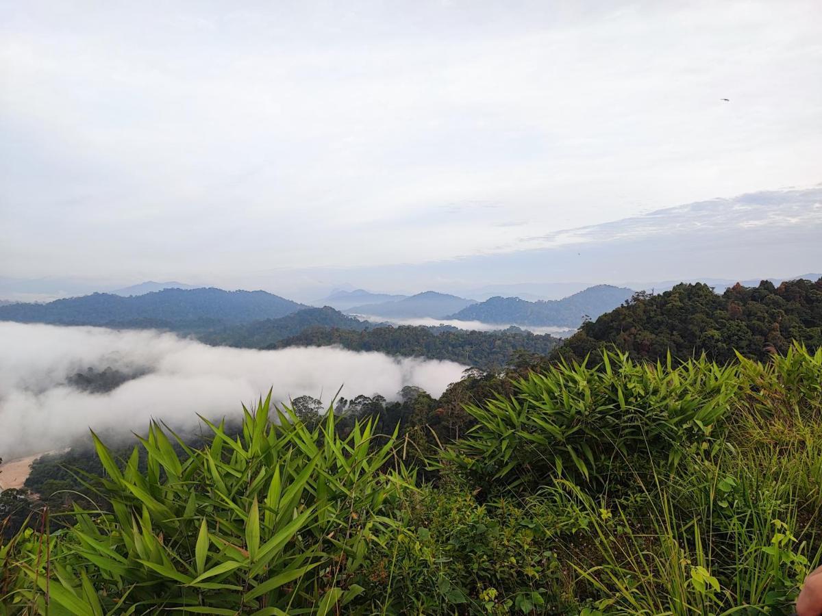 Tekoma Resort Taman Negara Куала-Тахан Экстерьер фото